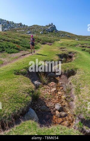 France, Corse du Sud, région de l'Alta Rocca, les tourbières de montagne localement appelés pozzines sur le plateau du Cuscionu Banque D'Images