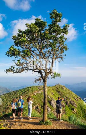 Le Sri Lanka, la province d'Uva, Ella, randonnée pédestre à la petite Adam's Peak (alt : 1141 m) Banque D'Images