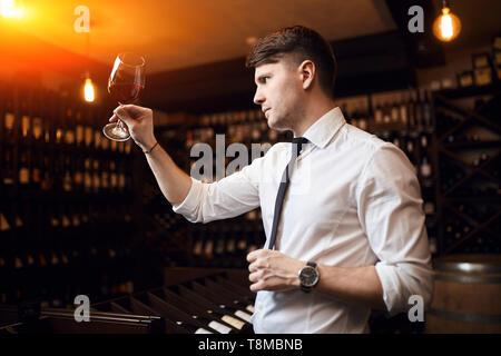 Jeune homme agréable cerner et d'examiner les vins, le cépage de référence, le lieu d'origine, et vintage.close up side view photo Banque D'Images