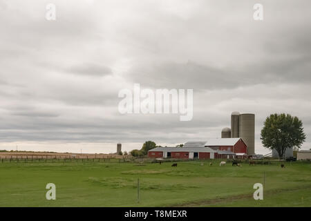 Contexte agricole d'une exploitation laitière dans le Wisconsin Banque D'Images