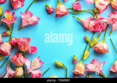 Belles fleurs sur un fond de couleur Banque D'Images