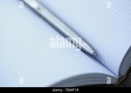 Plume d'argent couché sur la feuille de l'ordinateur portable ouvert Banque D'Images