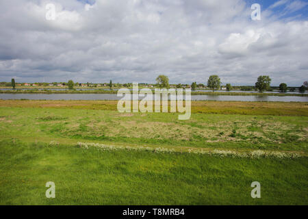 Belle vue sur un paysage typiquement hollandais près de la rivière Waal et de l'eau, l'herbe verte, de prairies et d'arbres sur une journée ensoleillée d'avril, le printemps Banque D'Images