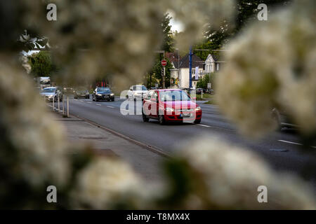 Vues à travers les buissons de lilas sur la Bundesstrasse 1 à Dortmund Banque D'Images