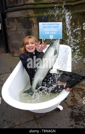 Présentateur TV vedette Wendy Turner ( Pet Rescue & absolument les animaux, sœur d'Anthea Turner ) se trouve dans un bain d'eau froide avec un modèle grandeur nature à l'extérieur du saumon Le Parlement écossais à Édimbourg ( aujourd'hui jeudi 31/1/02 ) pour mettre en évidence la recherche qui attire l'attention sur le sort des poissons d'élevage d'usine où la recherche les demandes peuvent être entassés dans des cages de 50 000 $ avec chaque poisson après avoir seulement l'équivalent d'une baignoire d'eau pour lui-même. Banque D'Images