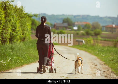 Mère marcher avec la poussette et chien dans la nature sur une route rurale. Journée ensoleillée en campagne avec enfant et chien beagle Banque D'Images