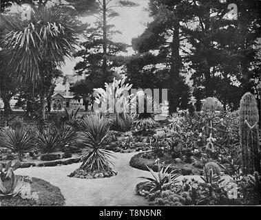 'Le Jardin de l'Arizona. Monterey, Californie', c1897. Créateur : Inconnu. Banque D'Images