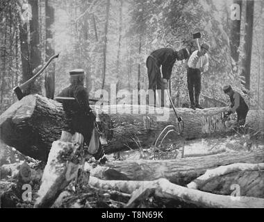 "L'exploitation forestière sur la rivière Ottawa, Canada', c1897. Créateur : Inconnu. Banque D'Images