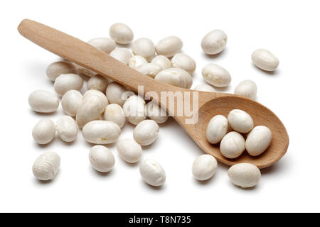 Haricots blancs et cuillère en bois isolé sur fond blanc Banque D'Images