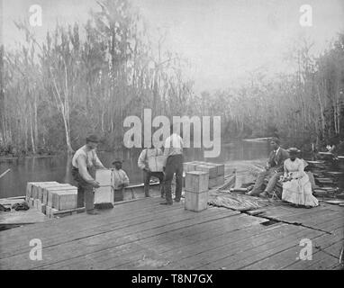 "Chargement des oranges sur la rivière Ocklawaha, Floride', c1897. Créateur : Inconnu. Banque D'Images