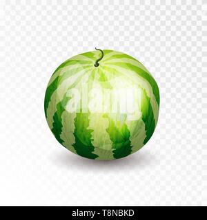 Ensemble mûr réaliste la pastèque. D'espace libre pour vos textes et d'image de marque. Vector 3D illustration. Illustration de Vecteur