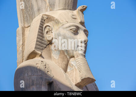 La tête de Ramsès II en étroite jusqu'à l'entrée du temple de Luxor Banque D'Images