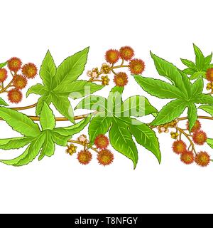 Vecteur de ricin sur fond blanc Illustration de Vecteur