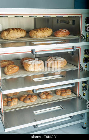 Four électrique industriel pour le traiteur avec set de la nourriture. Des produits de boulangerie Banque D'Images