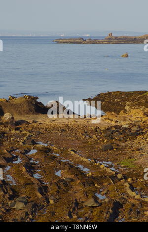 Dame Janet Anstruther's Tower et géologie grès carbonifères exposées le long de la côte de Fife à marée basse sur un matin d'été. L'Écosse, Royaume-Uni Banque D'Images