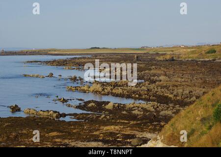 Dame Janet Anstruther's Tower et géologie grès carbonifères exposées le long de la côte de Fife à marée basse sur un matin d'été. L'Écosse, Royaume-Uni Banque D'Images