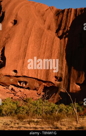 Détail d'Uluru. Le parc national d'Uluru-Kata Tjuta. Territoire du Nord. L'Australie Banque D'Images