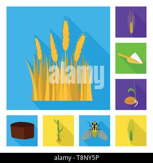 L'orge de printemps,farine,graines,pain,etuve,voler,repas,spike croître,root,,insectes,plantation,mûrs,feuilles,la faune,or,produits,évolution,vert,d'été,hiver,brun,scoop ravageur,terrain,alimentaire,maïs,blé,céréales,ferme,récolte,champ,agriculture,agriculture,plantes,seigle,set,icône,,illustration,collection,isolé,design,graphisme,élément signe,télévision,ombre,vecteurs vecteur , Illustration de Vecteur