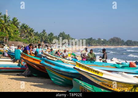 Sri Lanka, province Orientale, Pottuvil, Arugam Bay, de retour de la pêche Banque D'Images