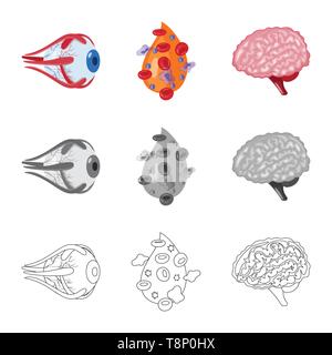 Globe oculaire,,sang,le cerveau,oeil,plasma,esprit cornée,cell,veille stratégique,couches,couvrir,science,don,structure,psychologie,maladie,vue,génie,Protection,moteur,pericranium,pression,traitement,gyrus,wit,génétique,infection prophylaxie,réflexion,biologie,scientifique,recherche,,laboratoire anatomie,organe interne,,médical,des,santé,,set,icône,,illustration,collection,isolé,design,graphisme,élément vecteur vecteurs,signer , Illustration de Vecteur