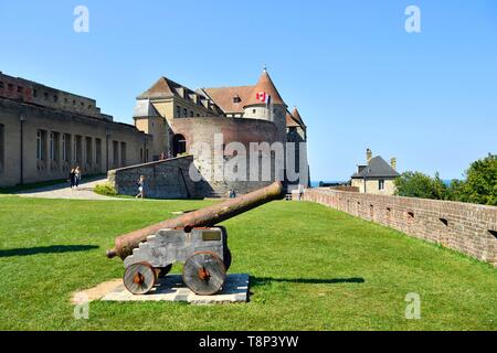 France, Seine Maritime, Pays de Caux, Cote d'Albatre (Côte d'Albâtre), Dieppe, château-musée, Dieppe château construit au xve siècle, de canons sur les remparts Banque D'Images