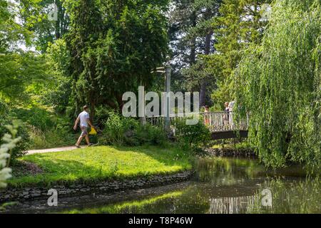 France, Hauts de Seine, Chatenay Malabry, l'Arboretum de la vallée aux Loups Banque D'Images