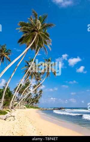 Sri Lanka, province du Sud, Unawatuna, Dalawella beach Banque D'Images
