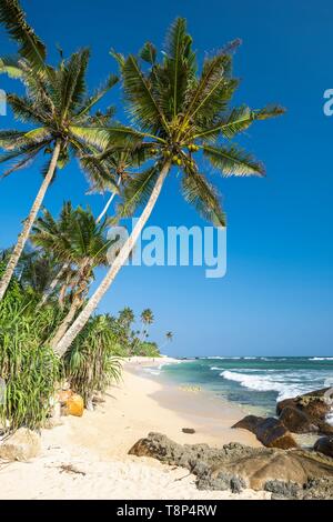 Sri Lanka, province du Sud, Matara, Madiha beach Banque D'Images