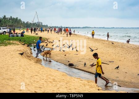 Sri Lanka, province de l'Ouest, Negombo, Negombo beach Banque D'Images