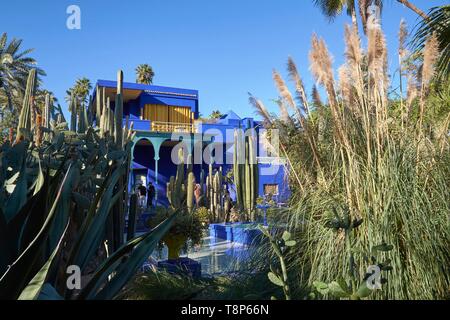 Le Maroc, Haut Atlas, Marrakech, Guéliz, Atelier d'artiste Villa et jardin Majorelle Musée Berbère Banque D'Images