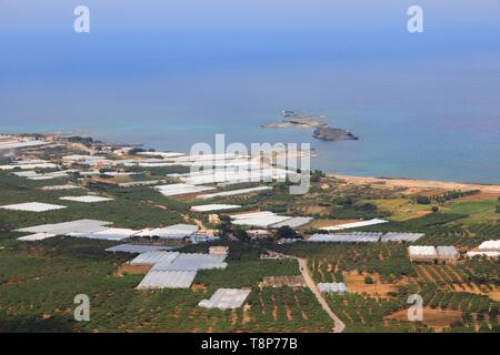 Paysage agricole à effet de l'île de Crète en Grèce. L'agriculture le long de la côte - oliviers et des serres. Banque D'Images