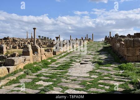 Vestiges romains comme site du patrimoine mondial de l'UNESCO sur 30.03.2019 dans Timgad - Algérie. Dans le monde d'utilisation | Banque D'Images