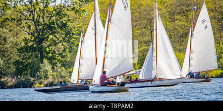 Course de voiliers sur gala Wroxham, Norfolk large. Un groupe de bateaux l'exécution de la ligne brune et l'attente de la course pour commencer. Banque D'Images