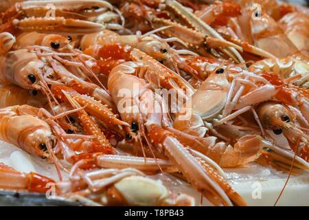 Des fruits de mer, Palma de Majorque, le 13 avril 2019 | dans le monde d'utilisation Banque D'Images