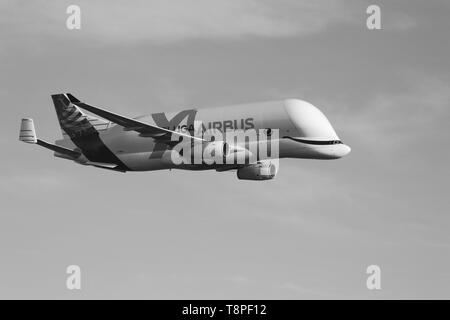 Nouveaux Airbus Beluga XG landing pour la première fois à Hawarden airport Banque D'Images