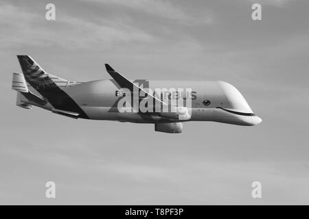 Nouveaux Airbus Beluga XG landing pour la première fois à Hawarden airport Banque D'Images