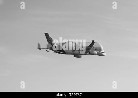 Nouveaux Airbus Beluga XG landing pour la première fois à Hawarden airport Banque D'Images