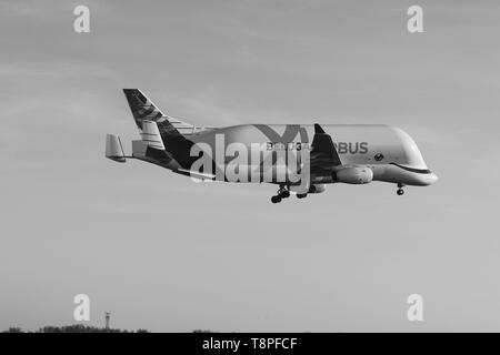 Nouveaux Airbus Beluga XG landing pour la première fois à Hawarden airport Banque D'Images