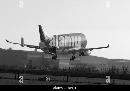 Nouveaux Airbus Beluga XG landing pour la première fois à Hawarden airport Banque D'Images