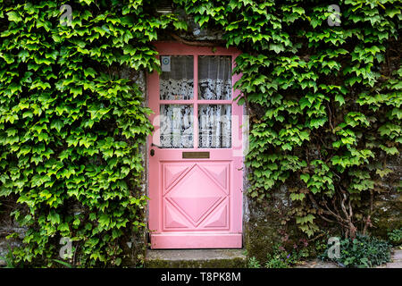 Rose rustique porte et envahi par la façade, sur la rue de Locronan, un cadre idyllique village médiéval en Bretagne, France Banque D'Images