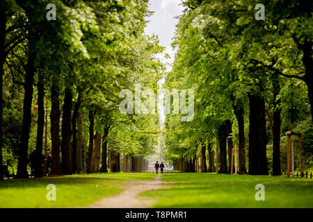 Berlin, Allemagne. 14 mai, 2019. Deux randonneurs à pied à travers le Tiergarten de Berlin. Credit : Christoph Soeder/dpa/Alamy Live News Banque D'Images