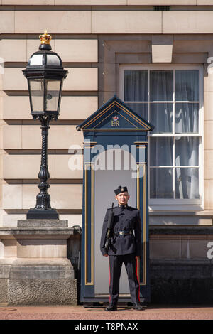 Westminster, London, UK. 14 mai 2019. Soldats Gurkha du 10 Queen's Own Gurkha Logistic Regiment de garde au Palais de Buckingham pour un jour de soleil dans le centre de Londres. Credit : Malcolm Park/Alamy Live News. Banque D'Images