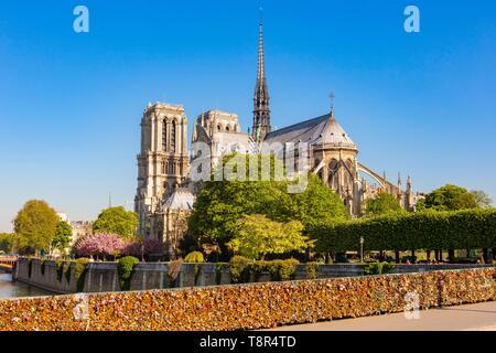 France, Paris, région classée au Patrimoine Mondial de l'UNESCO, la cathédrale de Notre Dame, de l'archevêque, bridge et cadenas Banque D'Images