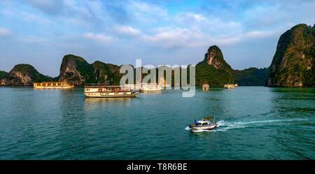 Vietnam, golfe du Tonkin, la province de Quang Ninh, la baie d'Ha Long (Vinh Ha Long) inscrite au Patrimoine Mondial de l'UNESCO (1994), emblématiques de reliefs karstiques, les bateaux de croisière Banque D'Images