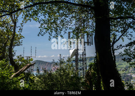 Voir looking at mobile téléphone au milieu des arbres dans la page mâts Bois, sur la Colline, les soldats à l'est de Cornwall, Devon, UK Banque D'Images