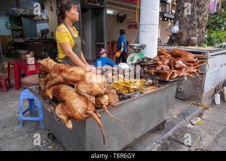 Vietnam, Delta du Fleuve Rouge, Hanoi, femme vendant la viande de chien au marché Banque D'Images