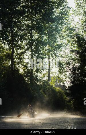 France, Morbihan, La Gacilly, kayakiste dans le marais de brume à Glenac Banque D'Images