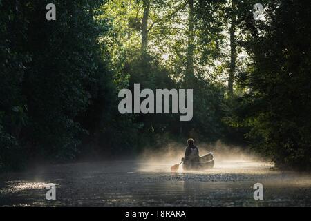 France, Morbihan, La Gacilly, kayakiste dans le marais de brume à Glenac Banque D'Images