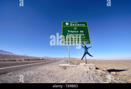 Au tropique du Capricorne sur l'altiplano, haut désert d'Atacama, Chili Banque D'Images