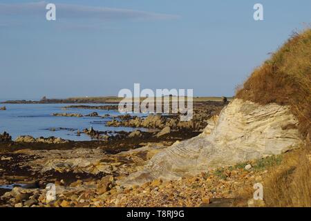 Dame Janet Anstruther's Tower et géologie grès carbonifères exposées le long de la côte de Fife à marée basse sur un matin d'été. L'Écosse, Royaume-Uni Banque D'Images